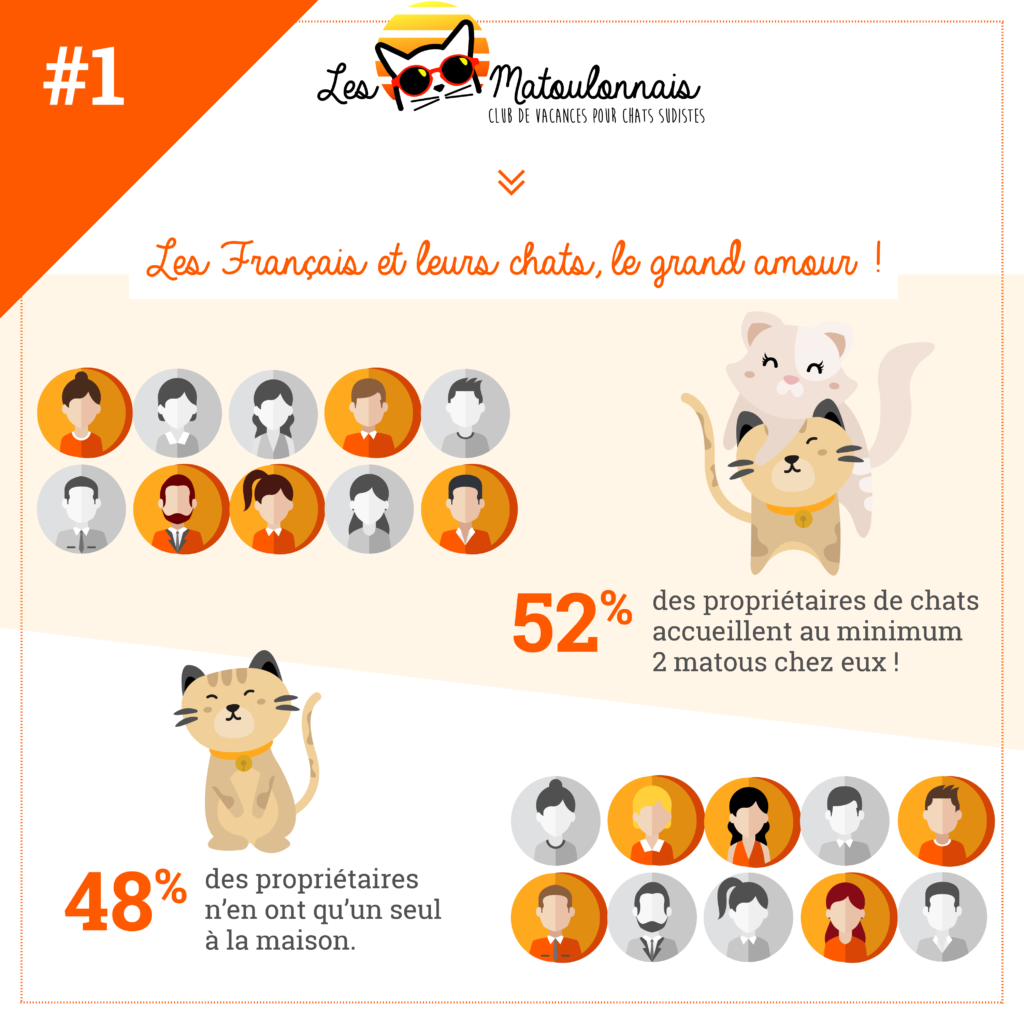Infographie Les Français et leurs chats, le grand amour, partie 1, cette image illustre les pourcentages de chats adoptés par les propriétaires.