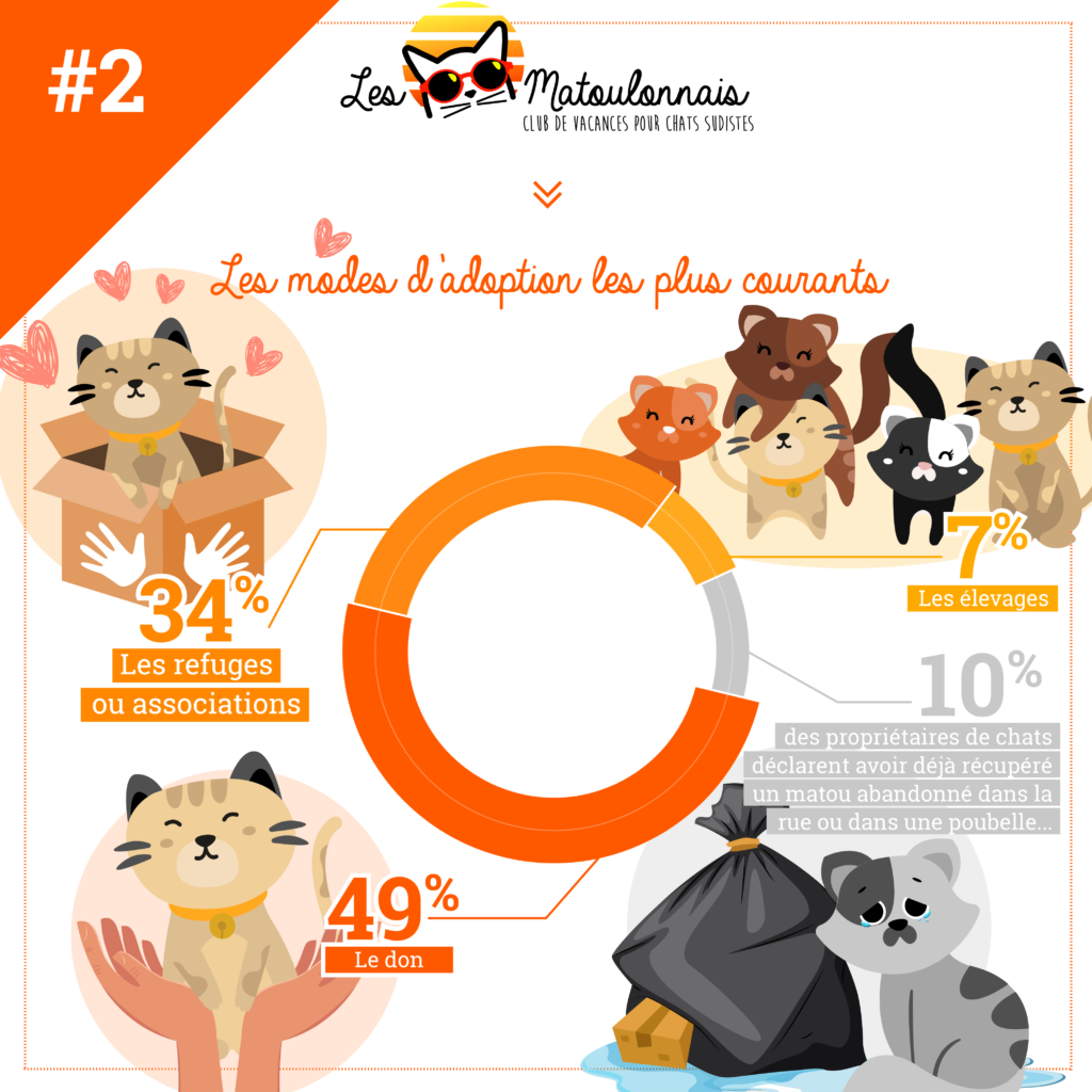 Infographie Les Français et leurs chats, le grand amour, partie 2, cette image illustre les modes d'adoption de chats les plus courants.